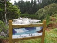 Albums/20060200-New Zealand 2006/20060313-Catlins/16